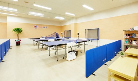 Minna no Takkyu (Table Tennis for Everyone)