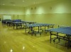 Table Tennis Club MIX