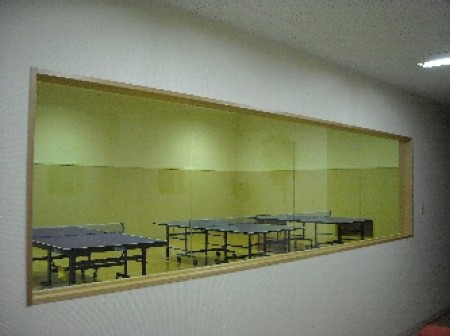 Table Tennis Club MIX