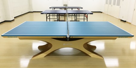Top Ping Pong