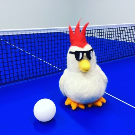 Flugel Table Tennis Club