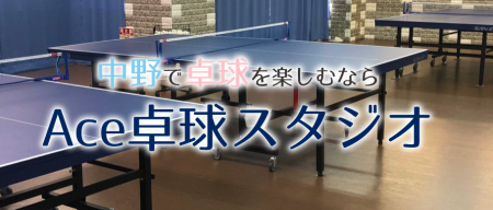 Ace Table Tennis Studio