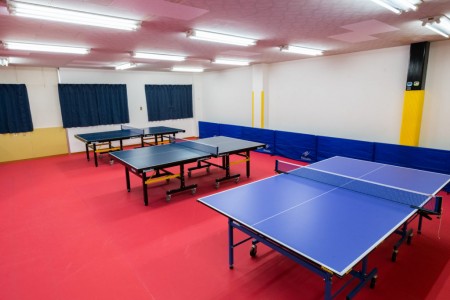 Art Table Tennis Hall