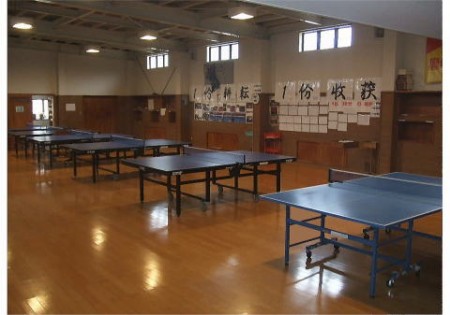 Roadsky Table Tennis Hall