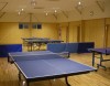 Horie Art Ping Pong House