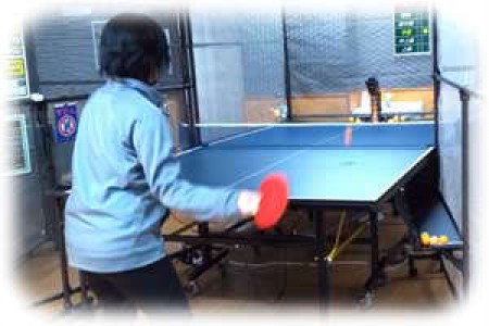 Machine Table Tennis Hall T-able