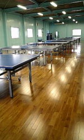 Kisarazu Table Tennis Center