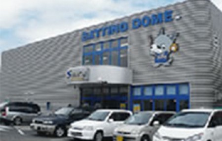 Swing Stadium Ichihara