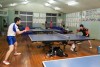 Maruzen Table Tennis Center