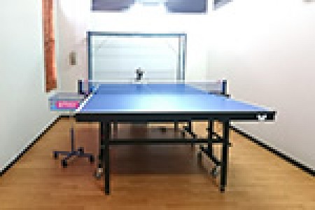Hagoromo Table Tennis Studio