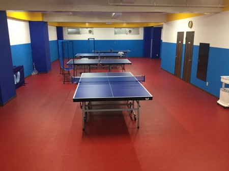 MI Seishun Table Tennis Club