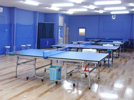 Iseki Table Tennis Land