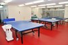 Winn Tokyo Table Tennis