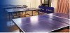 Zeos Table Tennis Studio