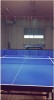 Table Tennis Oasis YamaSen