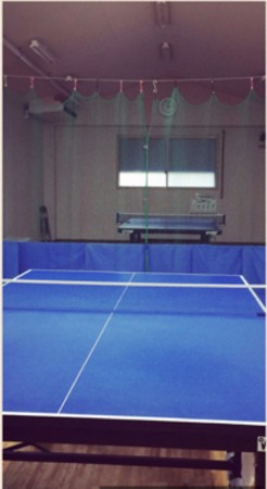 Table Tennis Oasis YamaSen