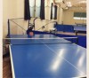 Table Tennis Oasis YamaSen