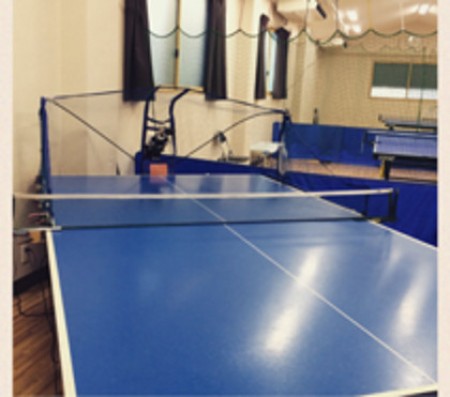 Table Tennis Oasis YamaSen