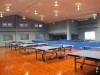 T.T Arai Table Tennis Specialty Shop