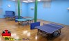 Table Tennis Monster