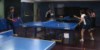 Excellent Wakakusa Table Tennis School