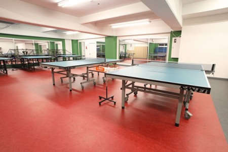 Star Table Tennis Gym 24 Otsuka-Ekimae Store