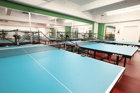 Star Table Tennis Gym 24 Otsuka-Ekimae Store