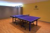 Table Tennis Space FunTable