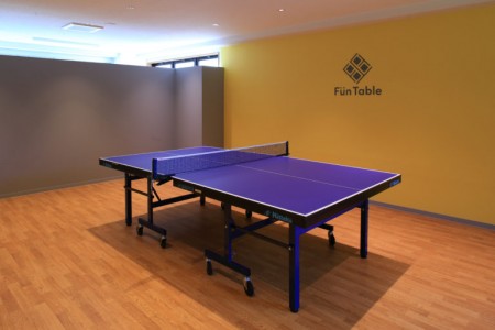 Table Tennis Space FunTable