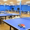 Tokiwa Table Tennis
