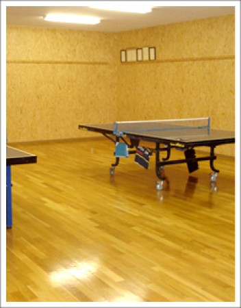 Table Tennis HOUSE Araki