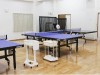 Ping Pong Plaza PPK