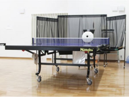 Ping Pong Plaza PPK
