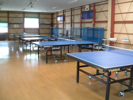 Minami Table Tennis Supplies