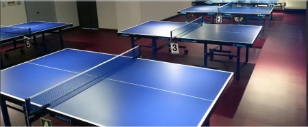 Akiba Table Tennis Style