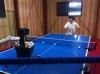 Tsukuba Meiko Table Tennis Club Namiki Practice Hall