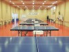 Neya Table Tennis Dojo
