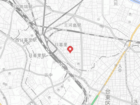 Tortoise map
