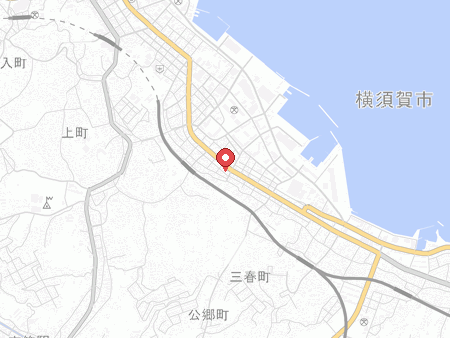 Iris Table Tennis Hall map