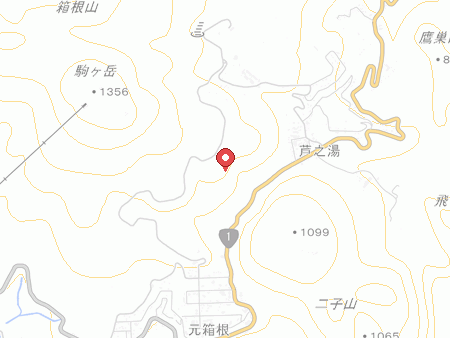 Hakone Yunohana Prince Hotel map