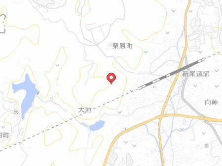 Map of Bingo Sports Park