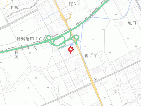 Sports Authority Niigata Minami Store%ALT%