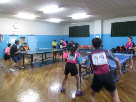 Elementary / junior high school intermediate course