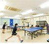 Junior course (elementary and junior high school students)