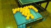 Monday Large Ball Free Class