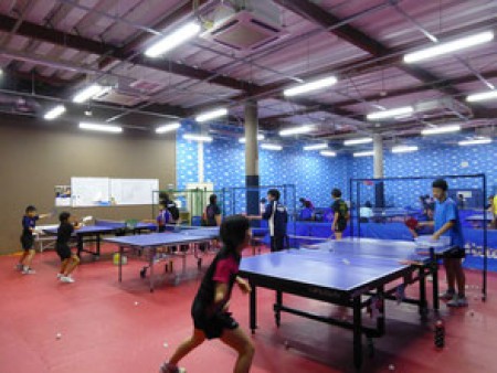 Junior Table Tennis Class (Intermediate / Advanced Champions Course) (Small 4 or more)
