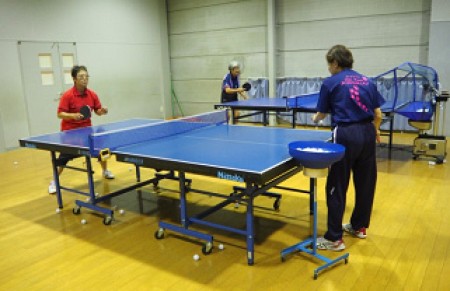 Group lessons (2 to 3 people)