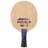 BLAZE FALL VC