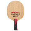 BLAZE FALL PC
