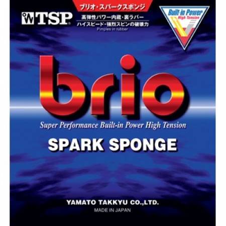 Brio spark sponge